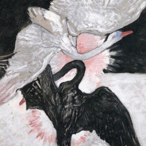 Meet your Posher, Erick